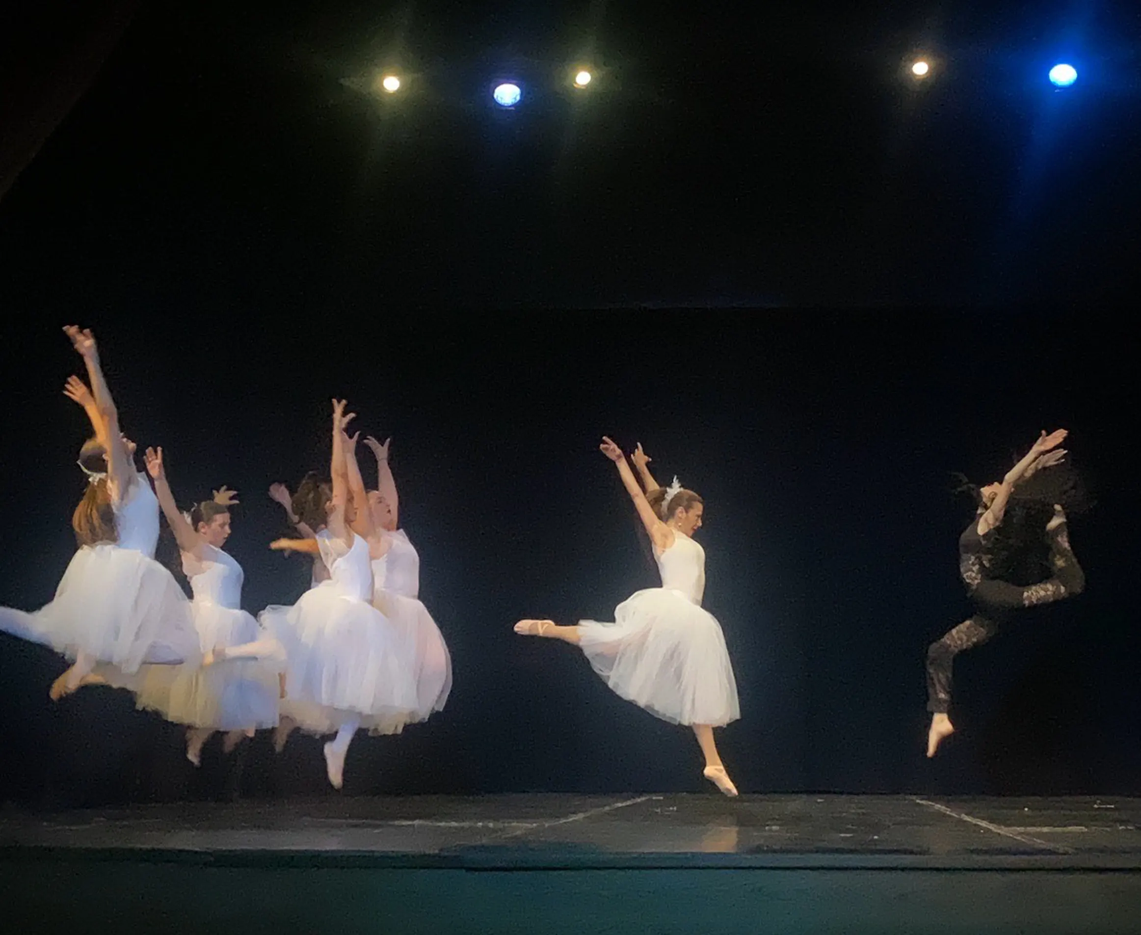 Χορηγία κοστουμιών μπαλέτου στην Ακαδημία Άλμπατρος Κρύας Βρύσης από τον ΒιοΑγρό